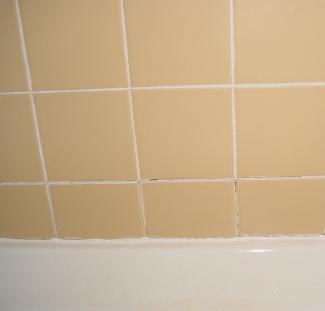 mold in shower tile