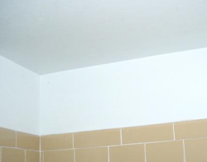 mold in shower ceiling